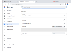 1stBrowser - themes