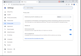 1stBrowser - privacy-settings