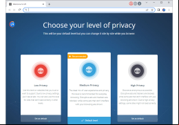 1stBrowser - privacy