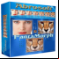 Abrosoft FantaMorph Pro