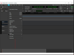 Ardour - edit-page