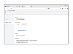 Baidu Browser - advanced-settings