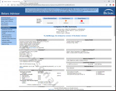 Belarc Advisor screenshot 1