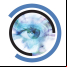 Blue Iris