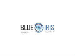 Blue Iris - loading-screen