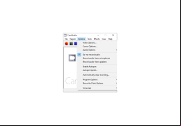 CamStudio Portable - options