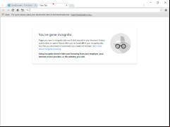 Cent Browser - incognito