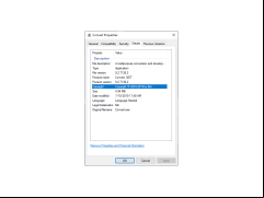 Convert .NET - details