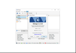 Deluge - about-application