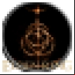 Elden Ring Save Manager logo