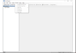 Epi Info - formats