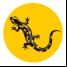 Feuersalamander