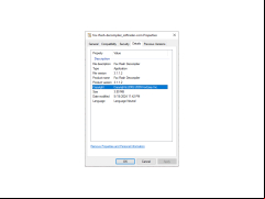 Fox Flash Decompiler - details