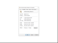 Fox Flash Decompiler - properties