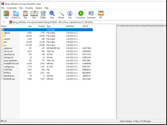 Fping - main-files