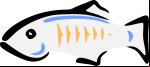GlassFish