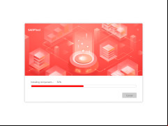 Hikvision SADP - installation-process