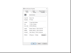 Home FTP Server - properties