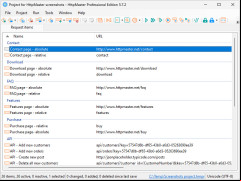 HttpMaster screenshot 1