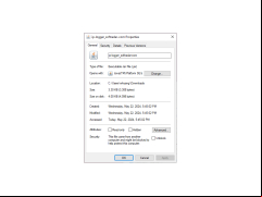 IP Logger - properties