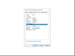 Ipswitch WS_FTP - details