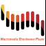 Macromedia Shockwave Player