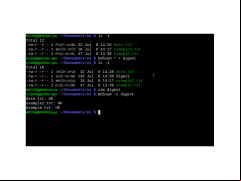 MD5Sum - test