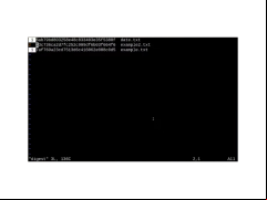 MD5Sum - digest