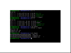 MD5Sum - cat-digest