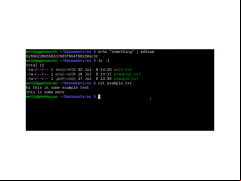 MD5Sum - documents
