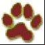Meow, The Cat Pet