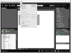 Microsoft Expression Web - site-options