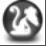 Monkeys Audio