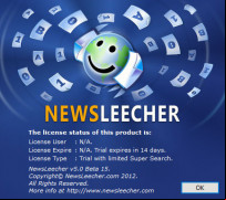 NewsLeecher screenshot 2