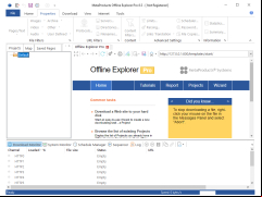 Offline Explorer Pro - properties
