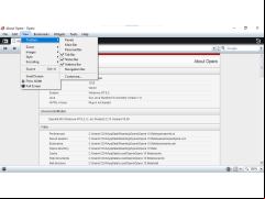 Opera Turbo - view