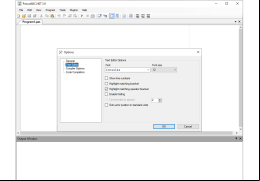 Pascal ABC.NET - text-edit-options