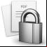 PDF Page Lock