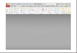 PDF-XChange Editor - comment