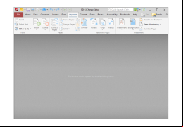 PDF-XChange Editor - organize