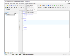 PHP Expert Editor - options-page