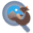 Pineapple Pictures logo