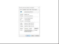 Prima Cartoonizer - properties