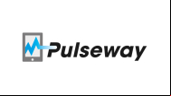 Pulseway Manager logo