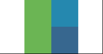 RaiDrive logo