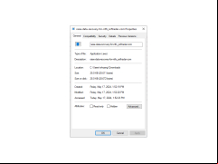 Raise Data Recovery for NTFS - properties