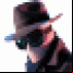 Real Hide IP