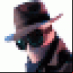 Real Hide IP logo