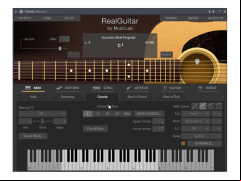 RealGuitar - chords