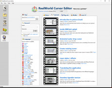 RealWorld Cursor Editor screenshot 1